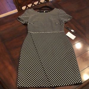 Tahari short sleeve dress
